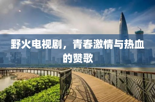野火电视剧，青春激情与热血的赞歌