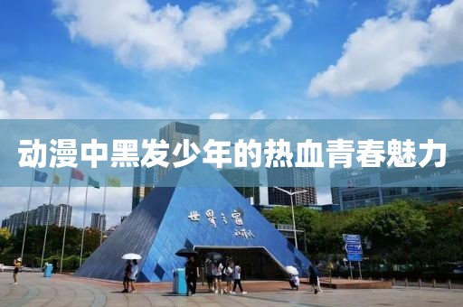 动漫中黑发少年的热血青春魅力