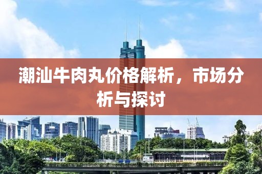 潮汕牛肉丸价格解析，市场分析与探讨