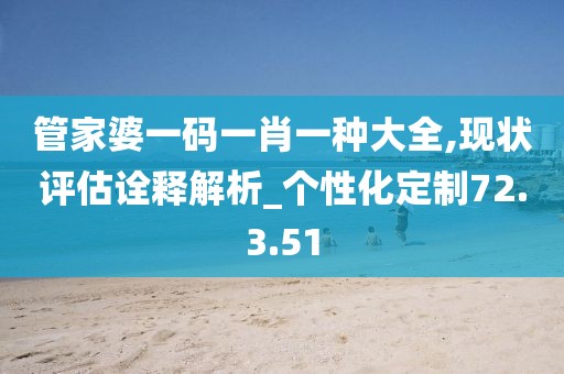 管家婆一码一肖一种大全,现状评估诠释解析_个性化定制72.3.51
