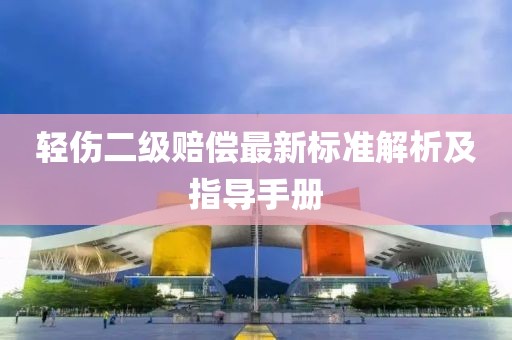 轻伤二级赔偿最新标准解析及指导手册