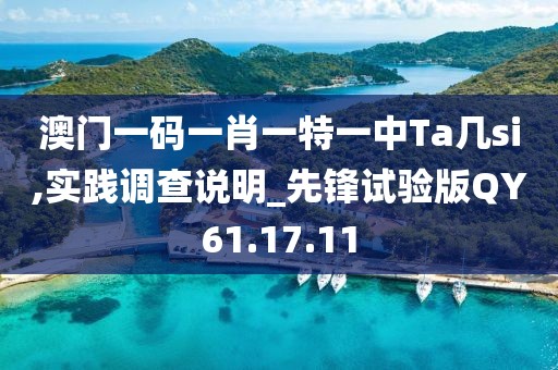 澳门一码一肖一特一中Ta几si,实践调查说明_先锋试验版QY61.17.11