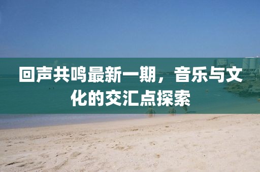 回声共鸣最新一期，音乐与文化的交汇点探索