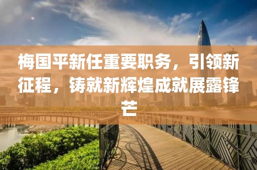 梅国平新任重要职务，引领新征程，铸就新辉煌成就展露锋芒