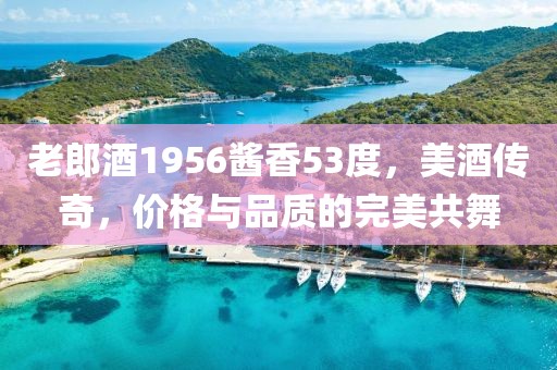 老郎酒1956酱香53度，美酒传奇，价格与品质的完美共舞