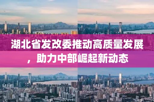 湖北省发改委推动高质量发展，助力中部崛起新动态