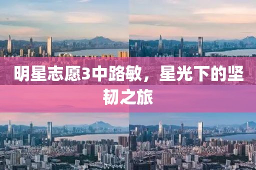 明星志愿3中路敏，星光下的坚韧之旅