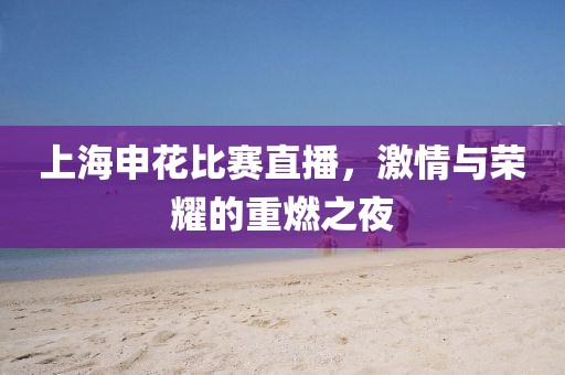 上海申花比赛直播，激情与荣耀的重燃之夜
