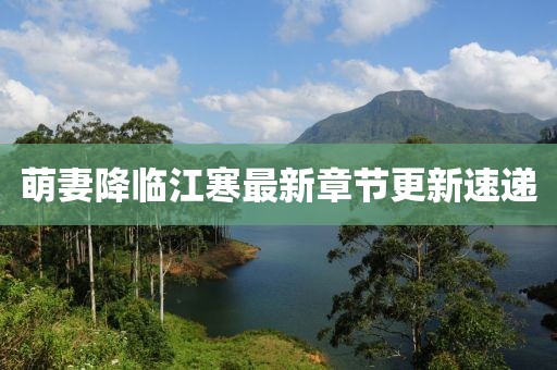 萌妻降临江寒最新章节更新速递