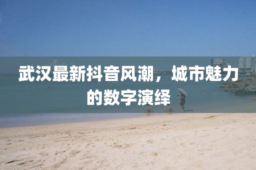 武汉最新抖音风潮，城市魅力的数字演绎