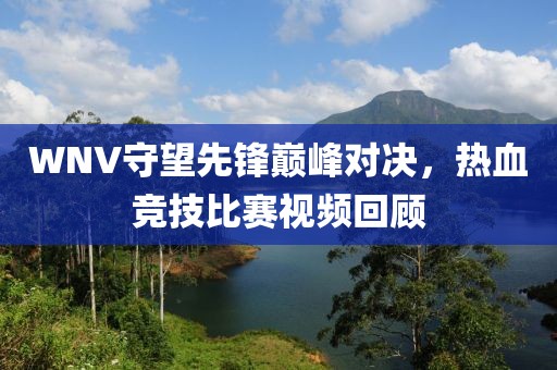 WNV守望先锋巅峰对决，热血竞技比赛视频回顾