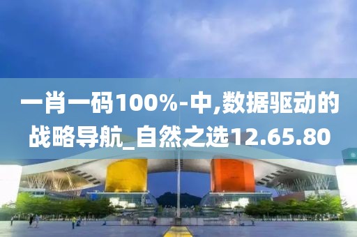 一肖一码100%-中,数据驱动的战略导航_自然之选12.65.80