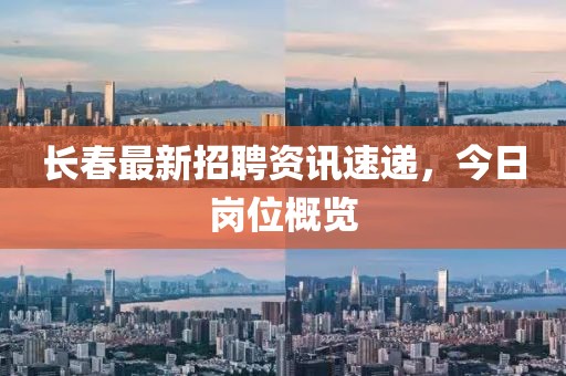 嘟嘟嘟占线中 第17页