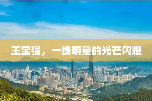 王宝强，一线明星的光芒闪耀
