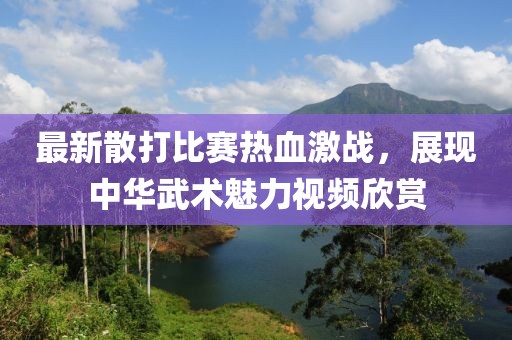 最新散打比赛热血激战，展现中华武术魅力视频欣赏