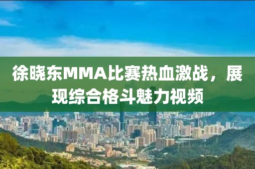 徐晓东MMA比赛热血激战，展现综合格斗魅力视频