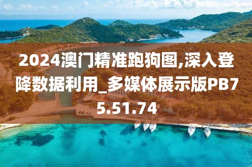 2024澳门精准跑狗图,深入登降数据利用_多媒体展示版PB75.51.74