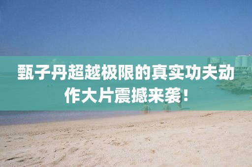 甄子丹超越极限的真实功夫动作大片震撼来袭！