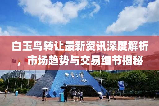 白玉鸟转让最新资讯深度解析，市场趋势与交易细节揭秘