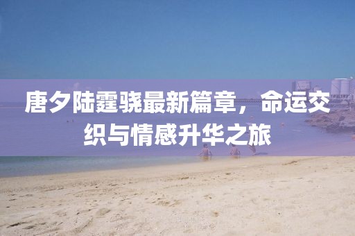唐夕陆霆骁最新篇章，命运交织与情感升华之旅