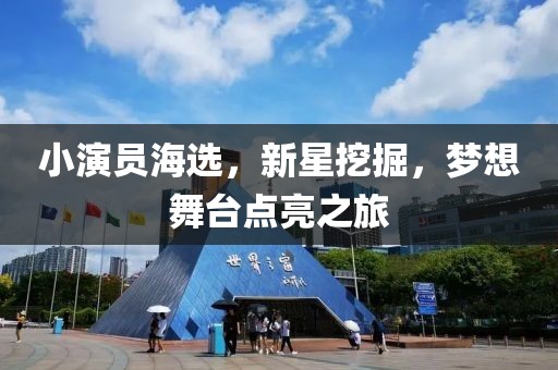 小演员海选，新星挖掘，梦想舞台点亮之旅