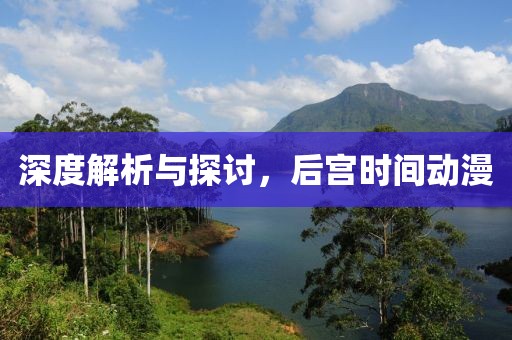 深度解析与探讨，后宫时间动漫