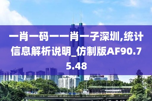 一肖一码一一肖一子深圳,统计信息解析说明_仿制版AF90.75.48