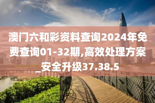 澳门六和彩资料查询2024年免费查询01-32期,高效处理方案_安全升级37.38.5