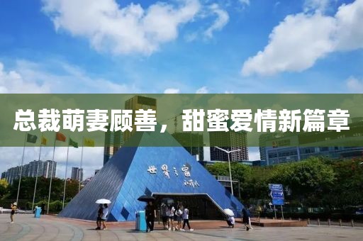 总裁萌妻顾善，甜蜜爱情新篇章