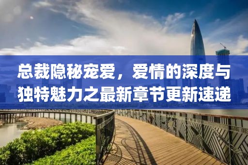 总裁隐秘宠爱，爱情的深度与独特魅力之最新章节更新速递