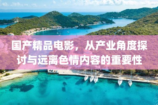 国产精品电影，从产业角度探讨与远离色情内容的重要性
