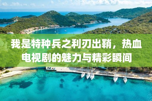 我是特种兵之利刃出鞘，热血电视剧的魅力与精彩瞬间