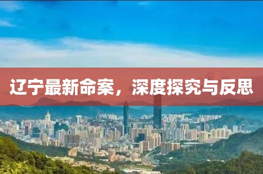 辽宁最新命案，深度探究与反思