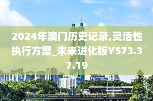 2024年澳门历史记录,灵活性执行方案_未来进化版YS73.37.19