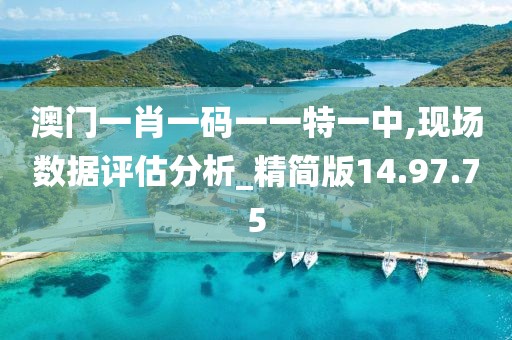 澳门一肖一码一一特一中,现场数据评估分析_精简版14.97.75