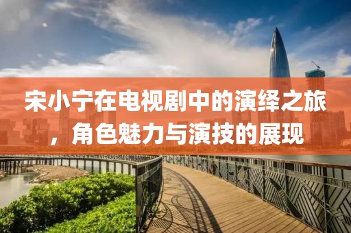 宋小宁在电视剧中的演绎之旅，角色魅力与演技的展现
