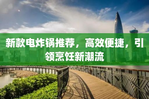新款电炸锅推荐，高效便捷，引领烹饪新潮流