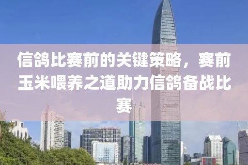信鸽比赛前的关键策略，赛前玉米喂养之道助力信鸽备战比赛