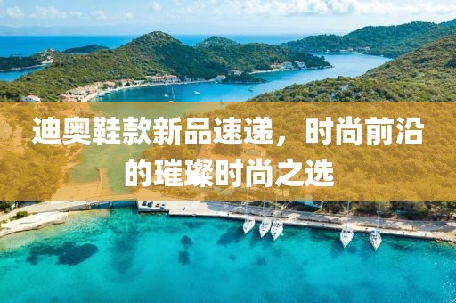 迪奥鞋款新品速递，时尚前沿的璀璨时尚之选