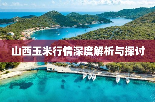 山西玉米行情深度解析与探讨