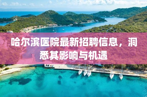 哈尔滨医院最新招聘信息，洞悉其影响与机遇