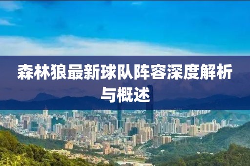森林狼最新球队阵容深度解析与概述