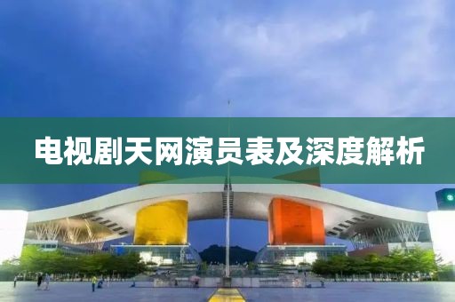 电视剧天网演员表及深度解析