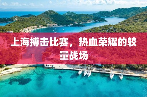 上海搏击比赛，热血荣耀的较量战场