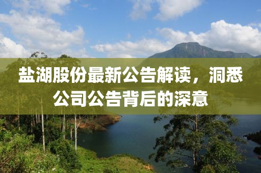 盐湖股份最新公告解读，洞悉公司公告背后的深意
