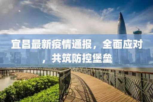 宜昌最新疫情通报，全面应对，共筑防控堡垒