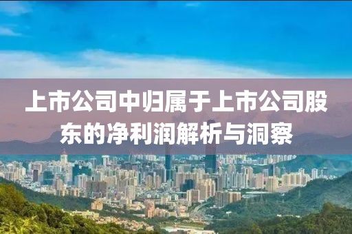 上市公司中归属于上市公司股东的净利润解析与洞察