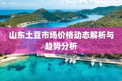山东土豆市场价格动态解析与趋势分析