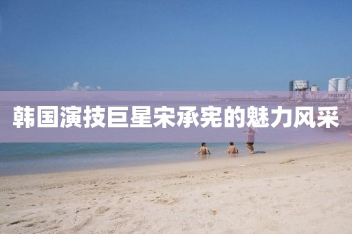 韩国演技巨星宋承宪的魅力风采