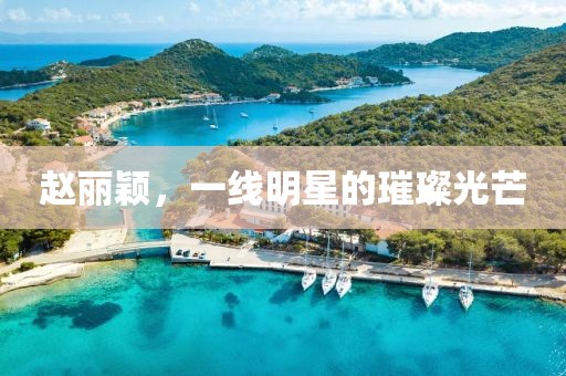 赵丽颖，一线明星的璀璨光芒